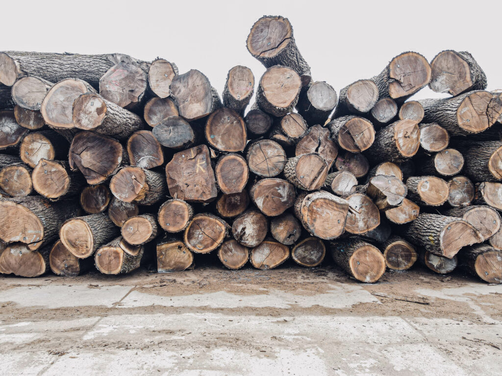 Knowing Your Woodlot: Hardwoods vs. Softwoods - Buskirk Lumber