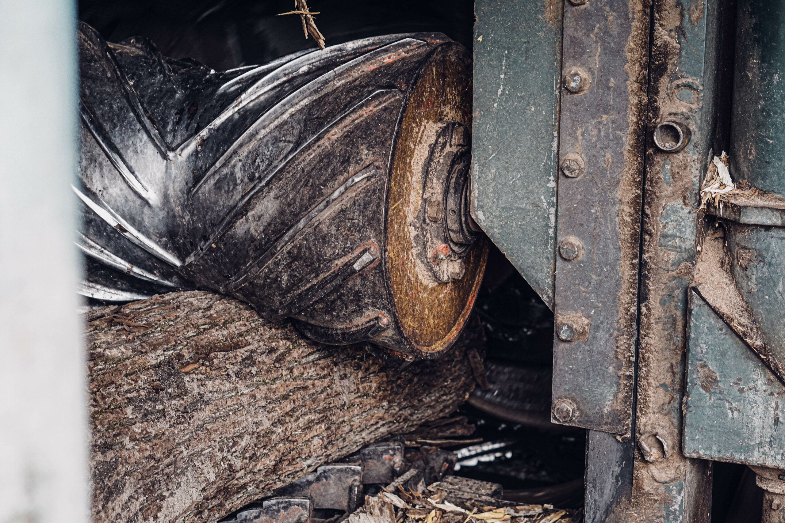 Hardwood timber log passes under a large debarking wheel, which removes the bark as the first part of lumber production.