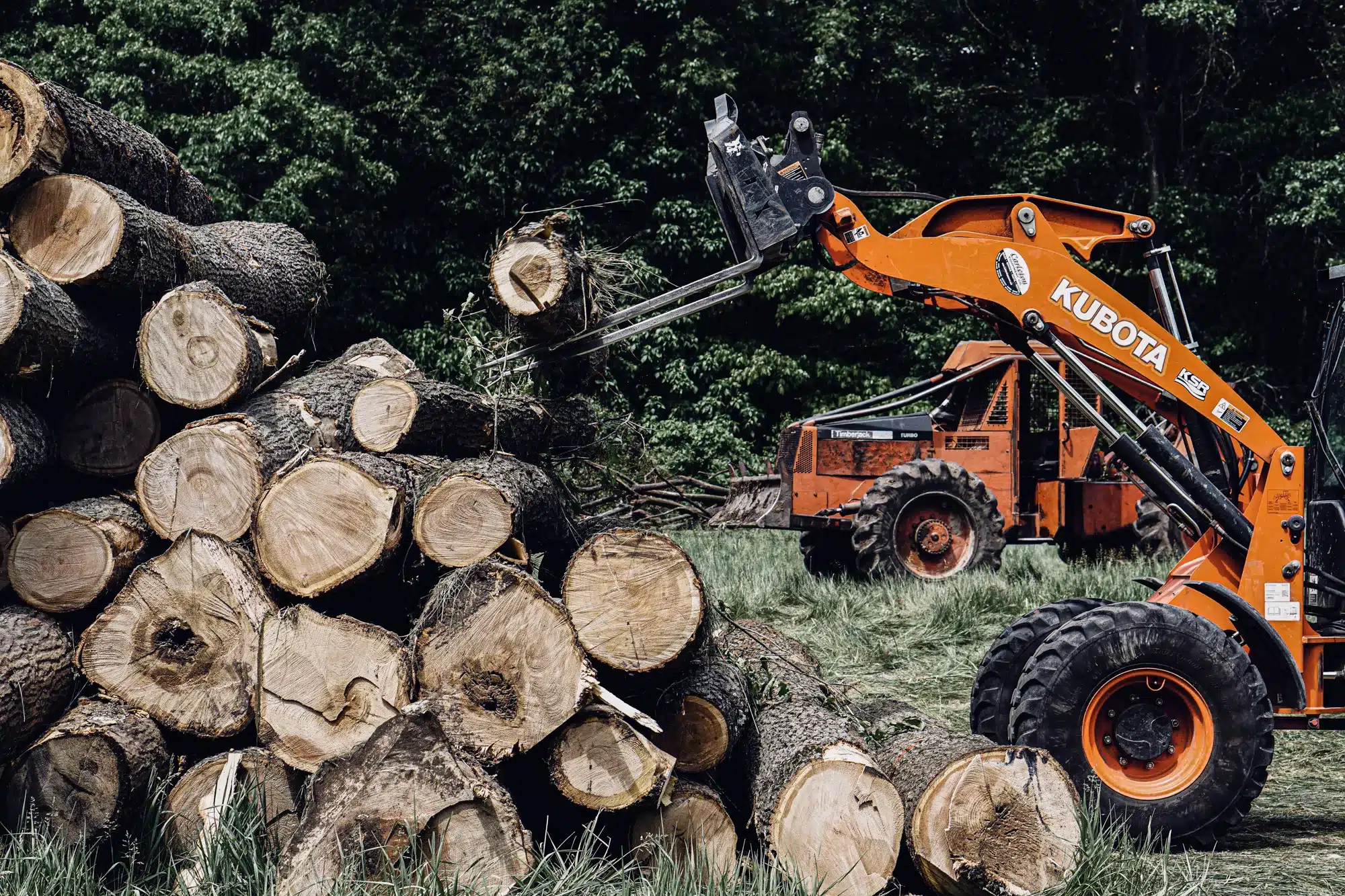 Orange Kubota tractor lifts a cut timber log from a stack of harvested timber.