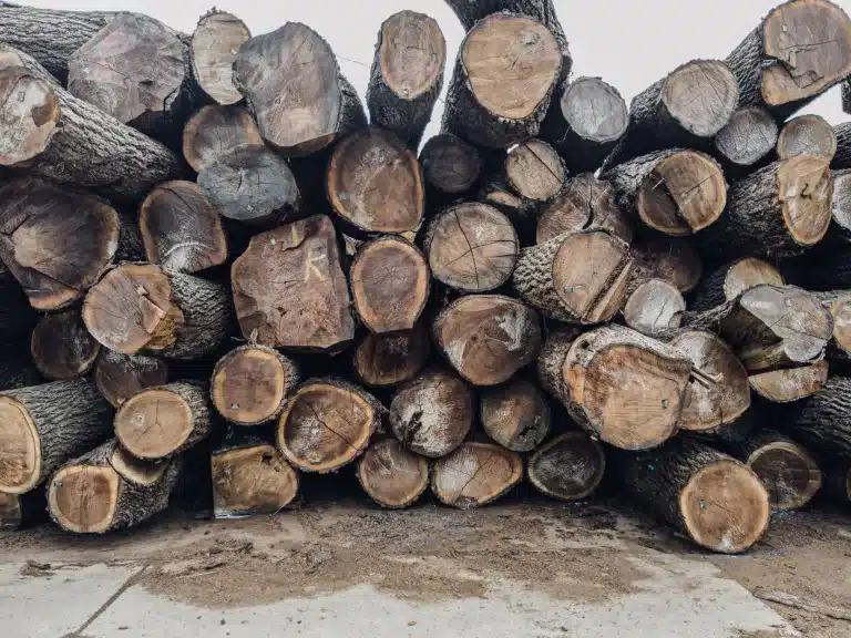 Pile of cut timber logs stacked on top of each other