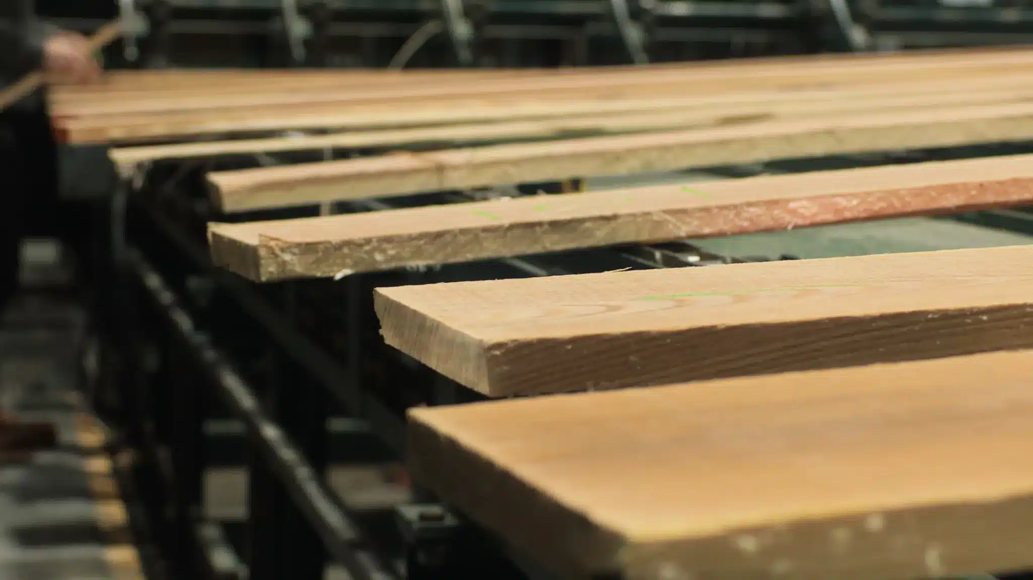 Closeup of hardwood timber logs that have been split into lumber boards.