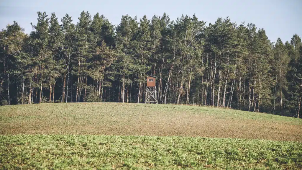 A wood hunting stand stands at the edge of a forest.
